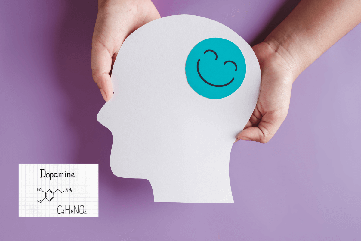 The Dopamine Menu: A Daily Routine to Feel More Alive, Motivated & Clear