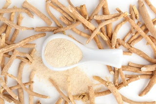 Harnessing the Power of Ashwagandha: Your Stress-Busting Super Herb